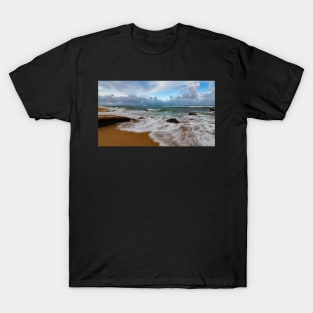 Kauai Driftwood T-Shirt